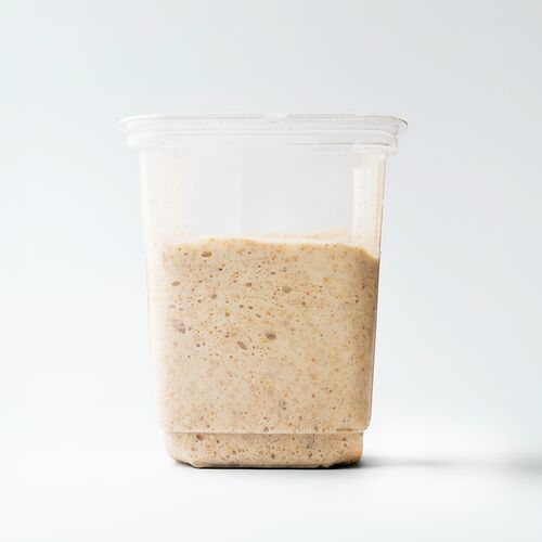 Sourdough Starter image